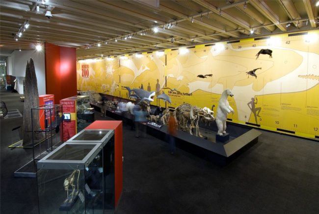 queensland museum zoo animals