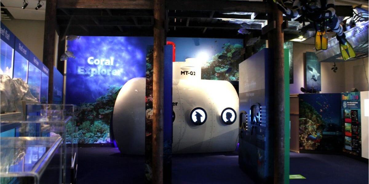 museum of tropical queensland colour secret language of the reef exhibition