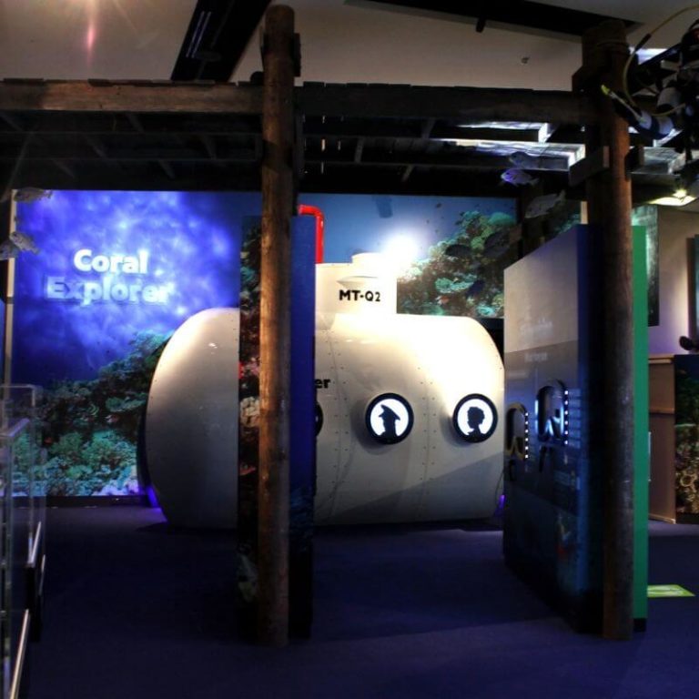 museum of tropical queensland colour secret language of the reef exhibition