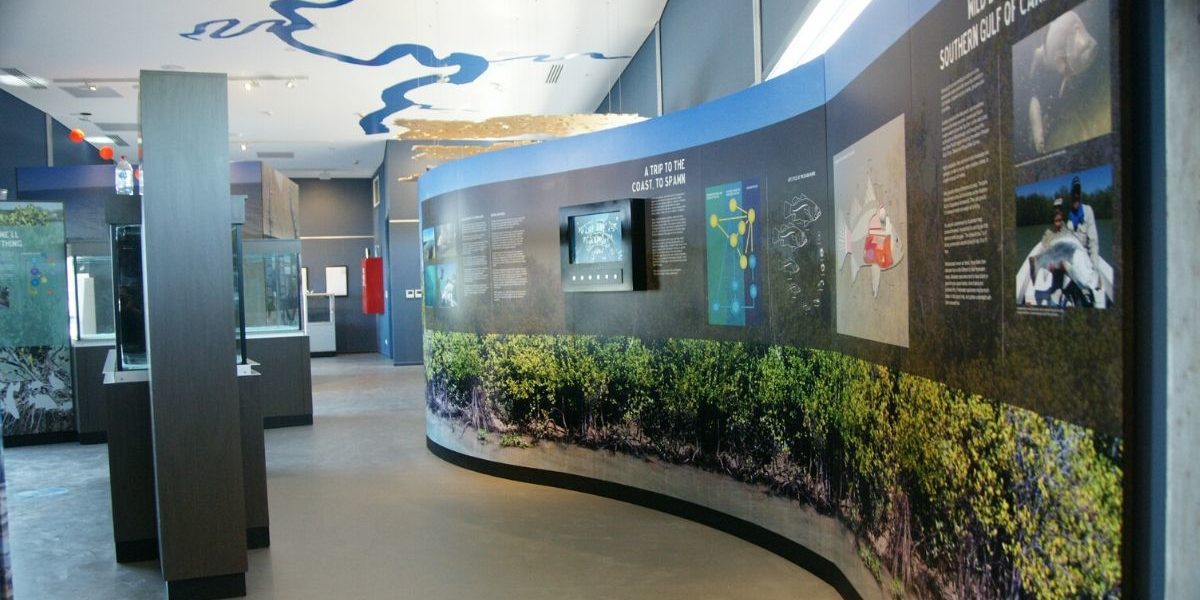 barramundi discovery centre display life cycle and habitater on ceiling
