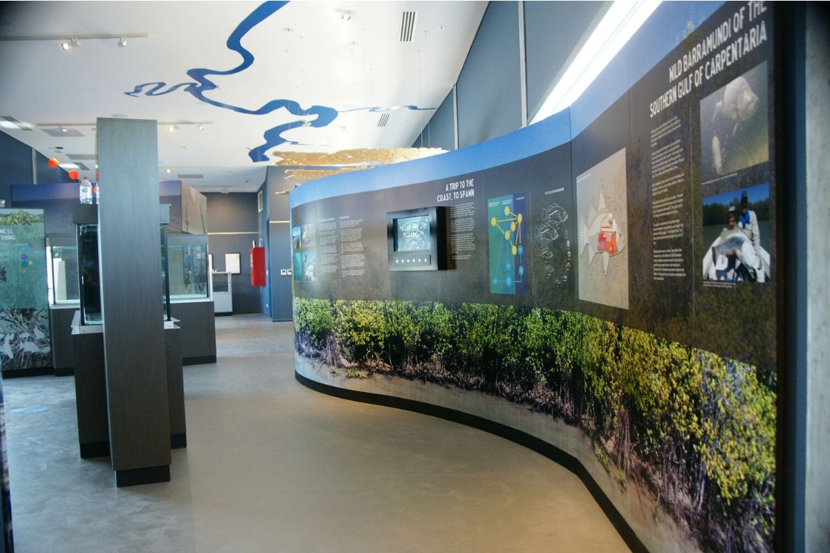 barramundi discovery centre display life cycle and habitater on ceiling