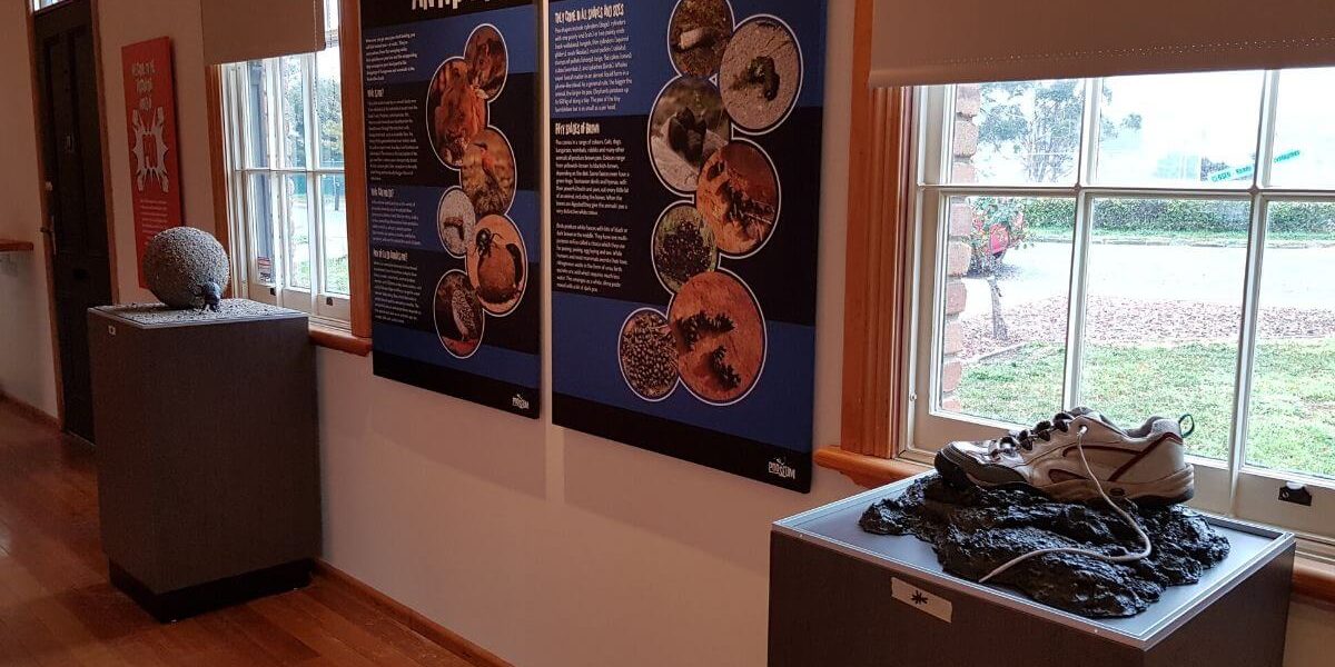 pooseum science museum
