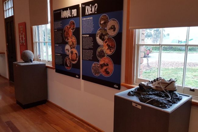 pooseum science museum