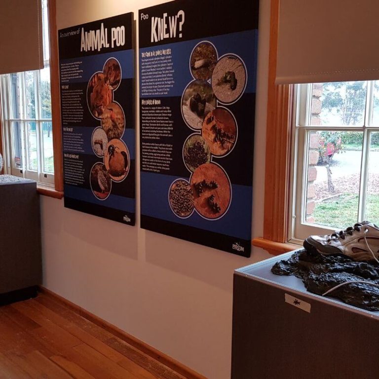 pooseum science museum